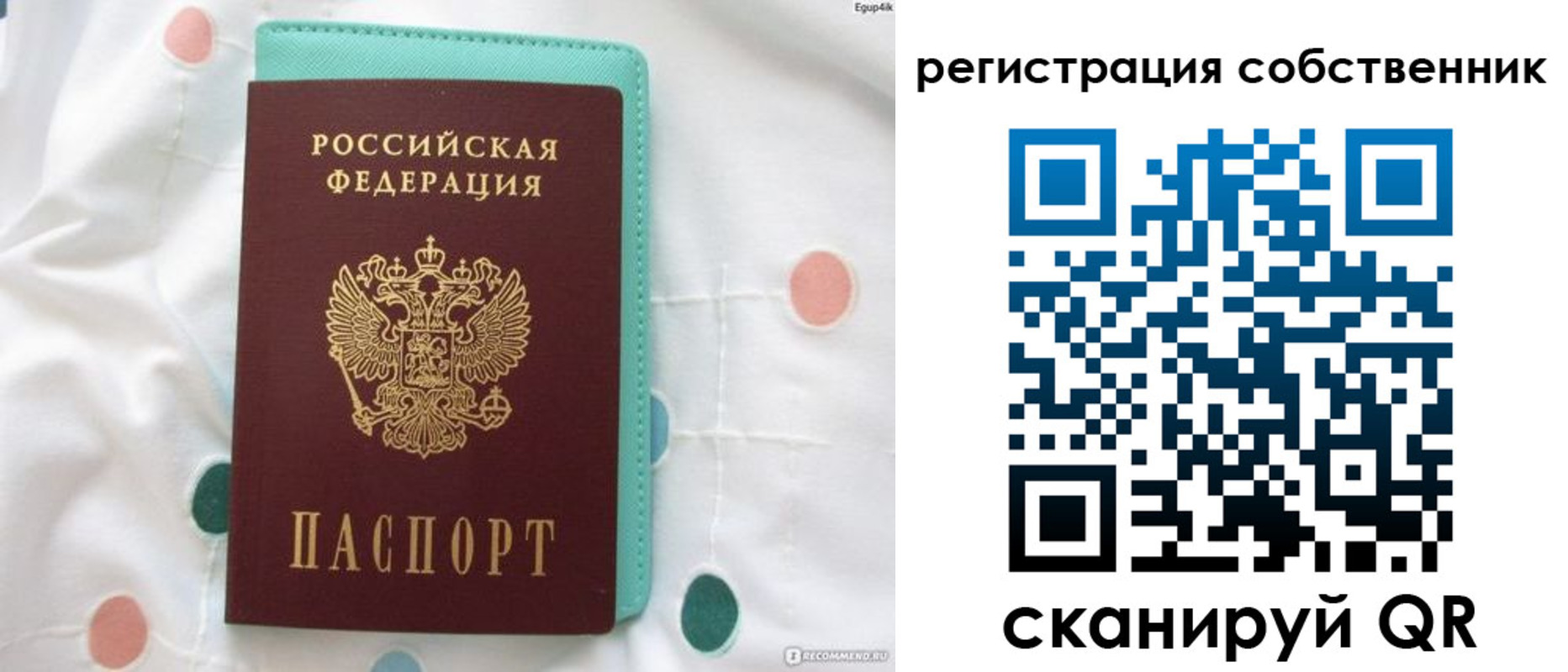 прописка для школы в Реутове